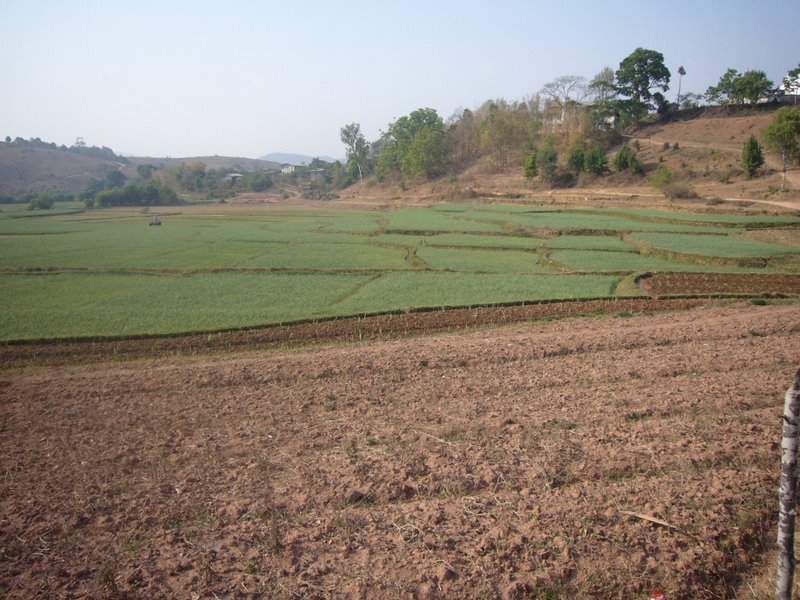 Travel - Myanmar - Kalaw Shan - Trek To Second Village
